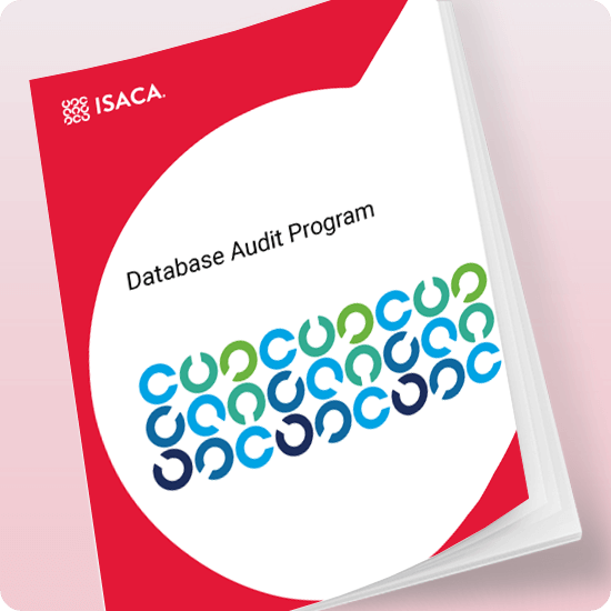 Database Audit Program