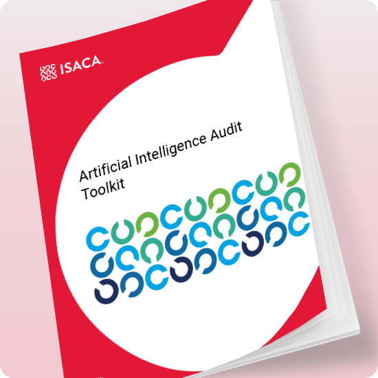 Artificial Intelligence Audit Toolkit