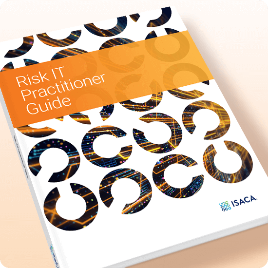 Spanish: Risk IT Practitioner Guide, 2nd Edition