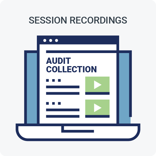 Session Recording: Audit Collection 2024