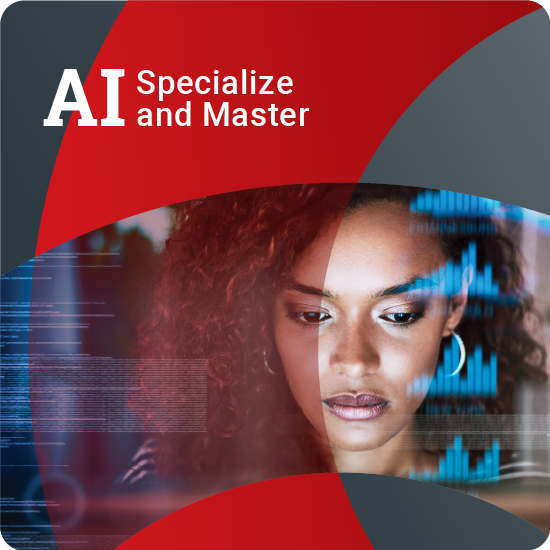 Introduction to AI for Auditors Online Course
