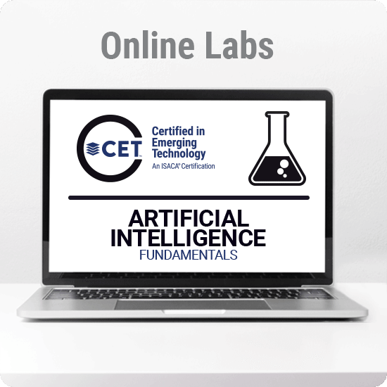 Spanish: Artificial Intelligence Fundamentals Lab Package