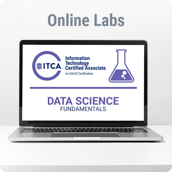 Spanish: Data Science Fundamentals Lab Package