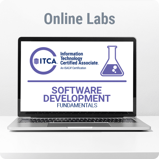 Spanish: Software Development Fundamentals Lab Package