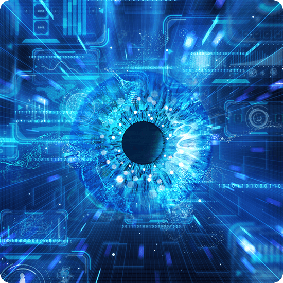 New Study: European business and IT professionals utilise AI with limited organisational training