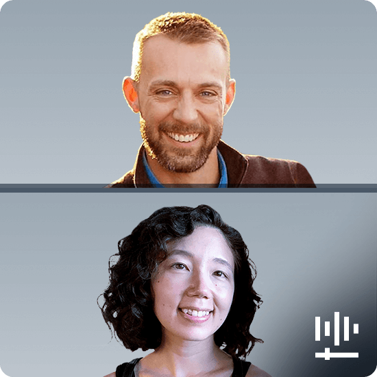 FDA's Voluntary Improvement Program